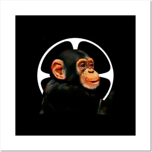 Chimpanzee Posters and Art